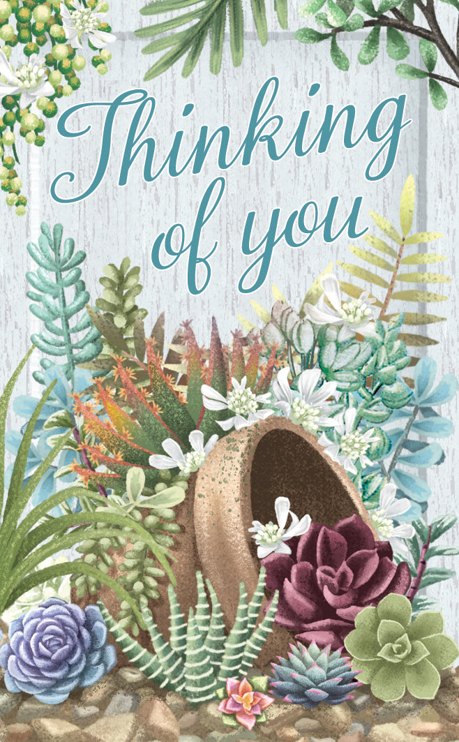 thinking of you succulent Succulent Love