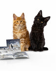 Two Cute Cats with their book Let It Snow