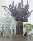 "The Glass House" - 3D Pop Up Greetings Card