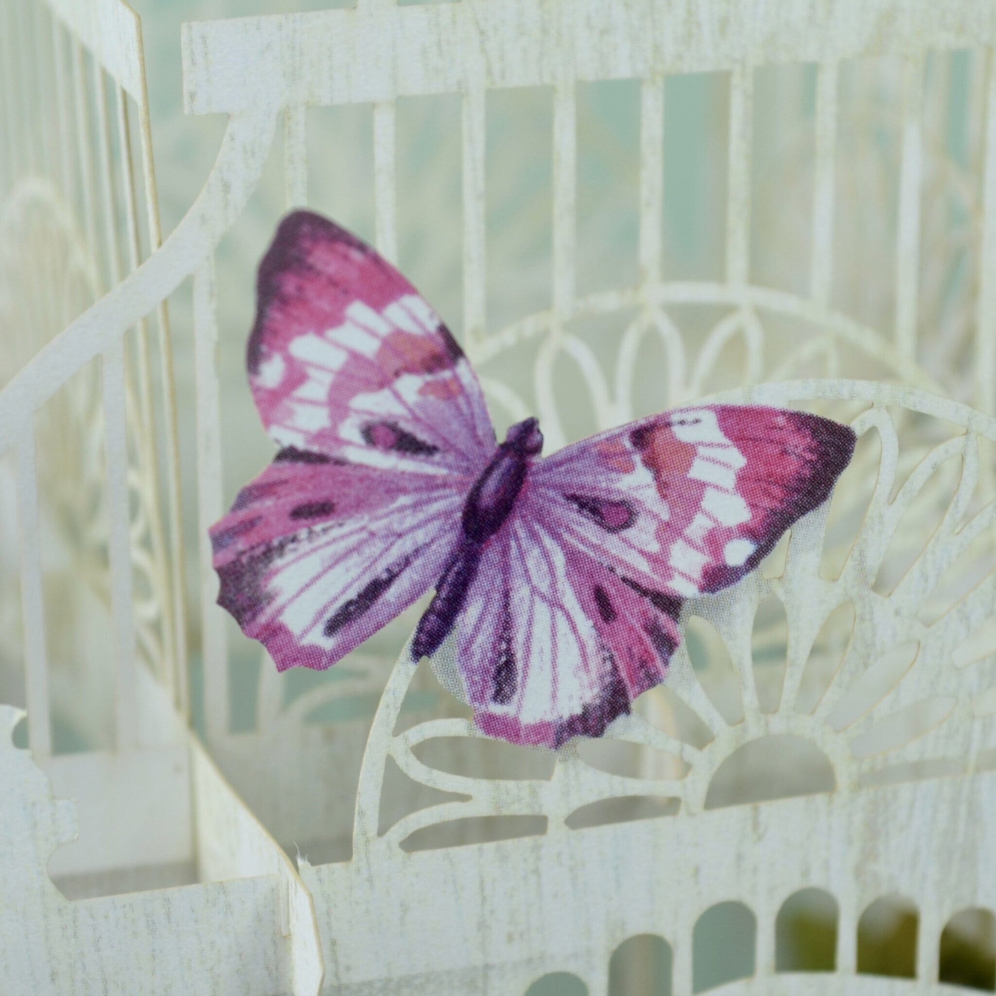 "The Flower Cage" - 3D Pop Up Greetings Card