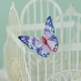 "The Flower Cage" - 3D Pop Up Greetings Card