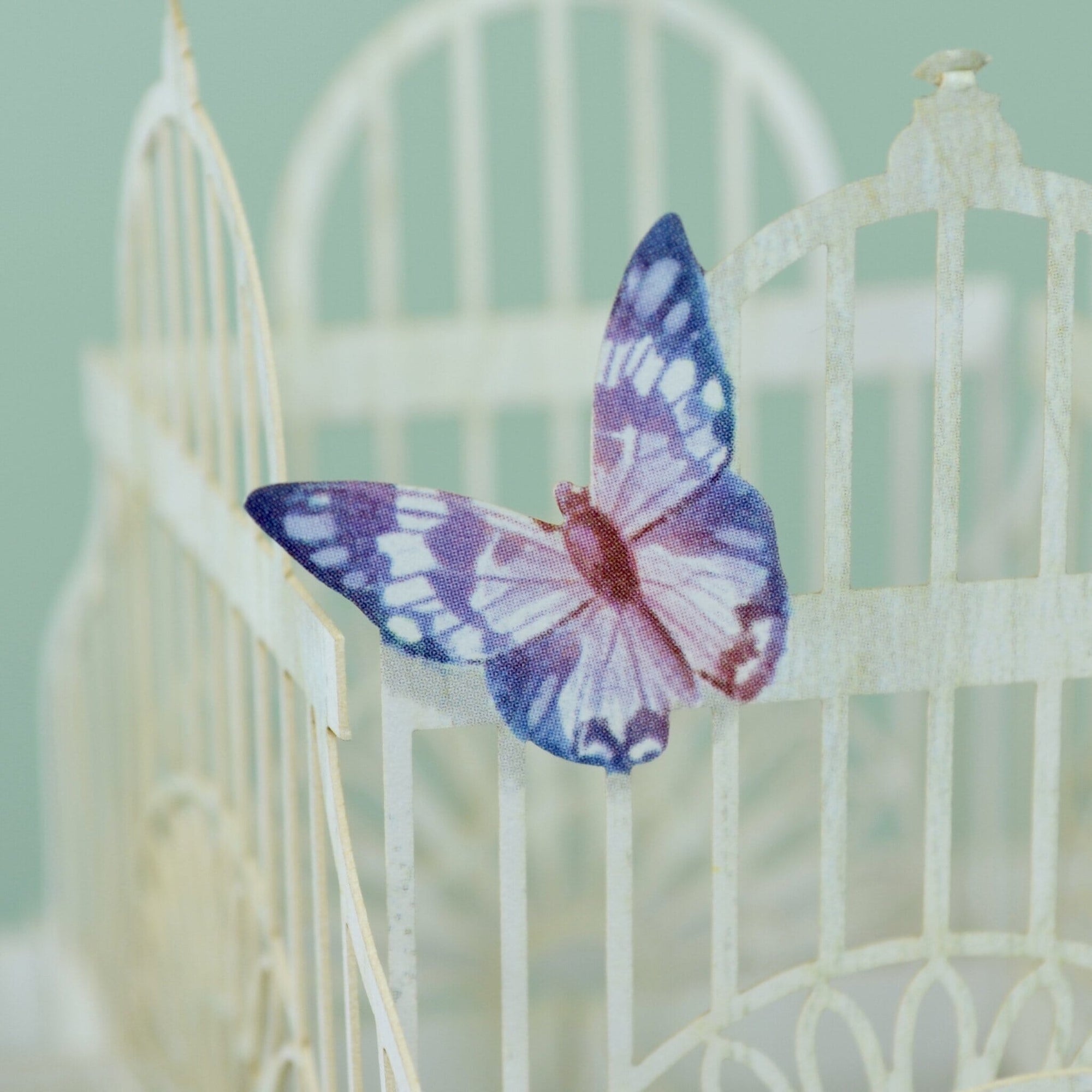 "The Flower Cage" - 3D Pop Up Greetings Card