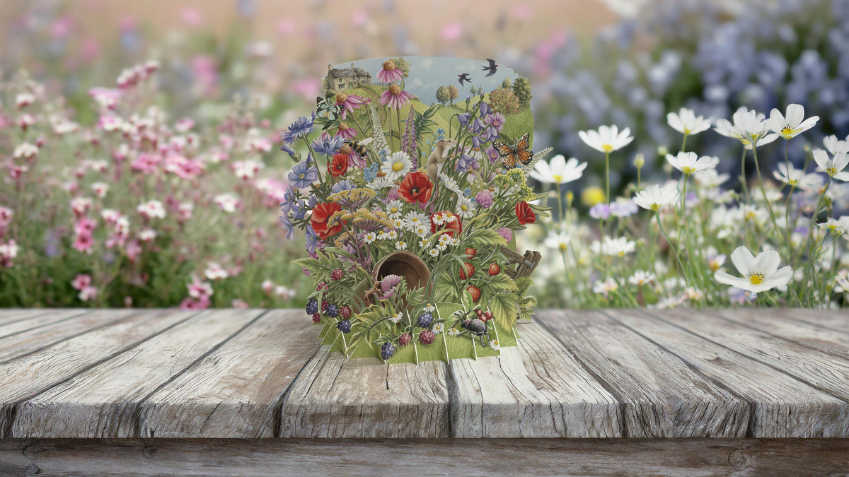 Me&McQ Wildflowers 3D pop-up greetings card showing an English wildflower meadow