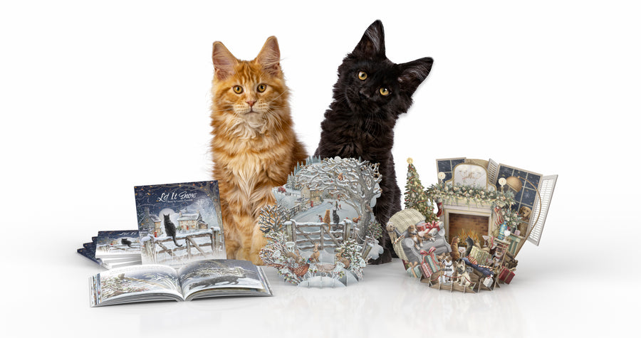 Two Cute Cats with a book about cats and pop up cards about cats