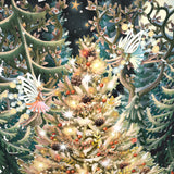 "Trees" - Top of the World Christmas Card