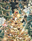 "Trees" - Top of the World Christmas Card