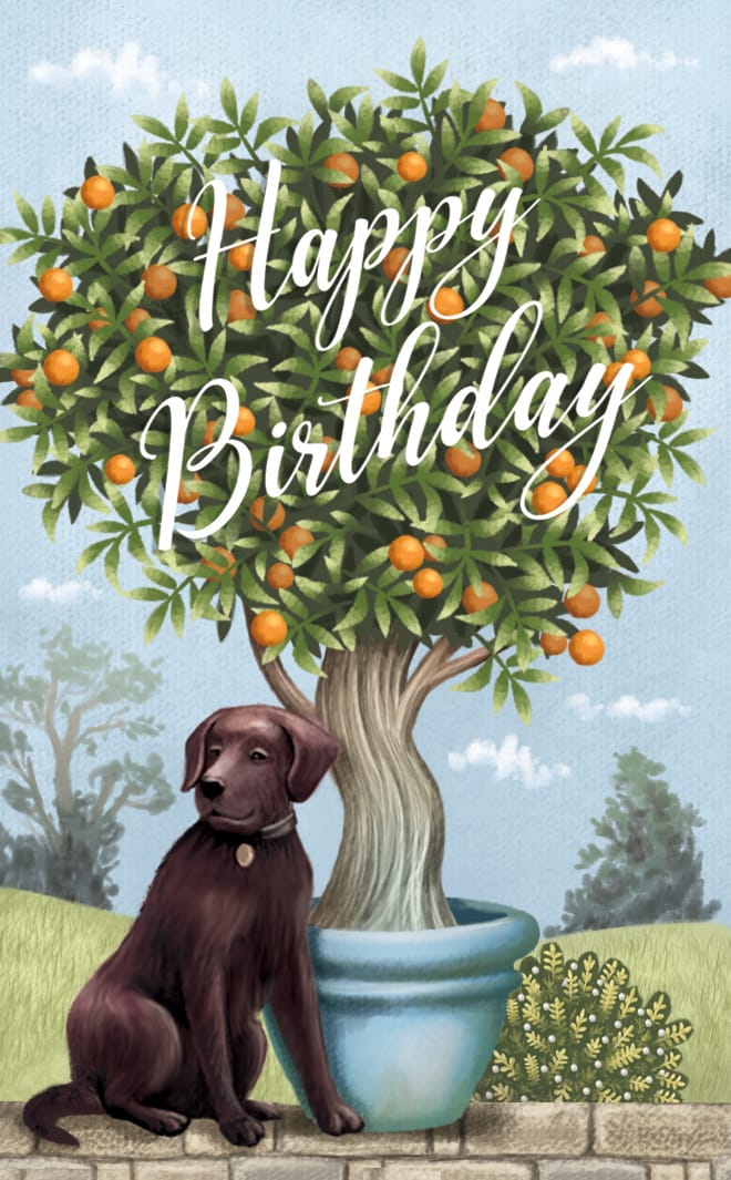 "The Glass House" - 3D Pop Up Greetings Card