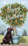 "The Glass House" - 3D Pop Up Greetings Card