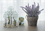 "The Glass House" - 3D Pop Up Greetings Card
