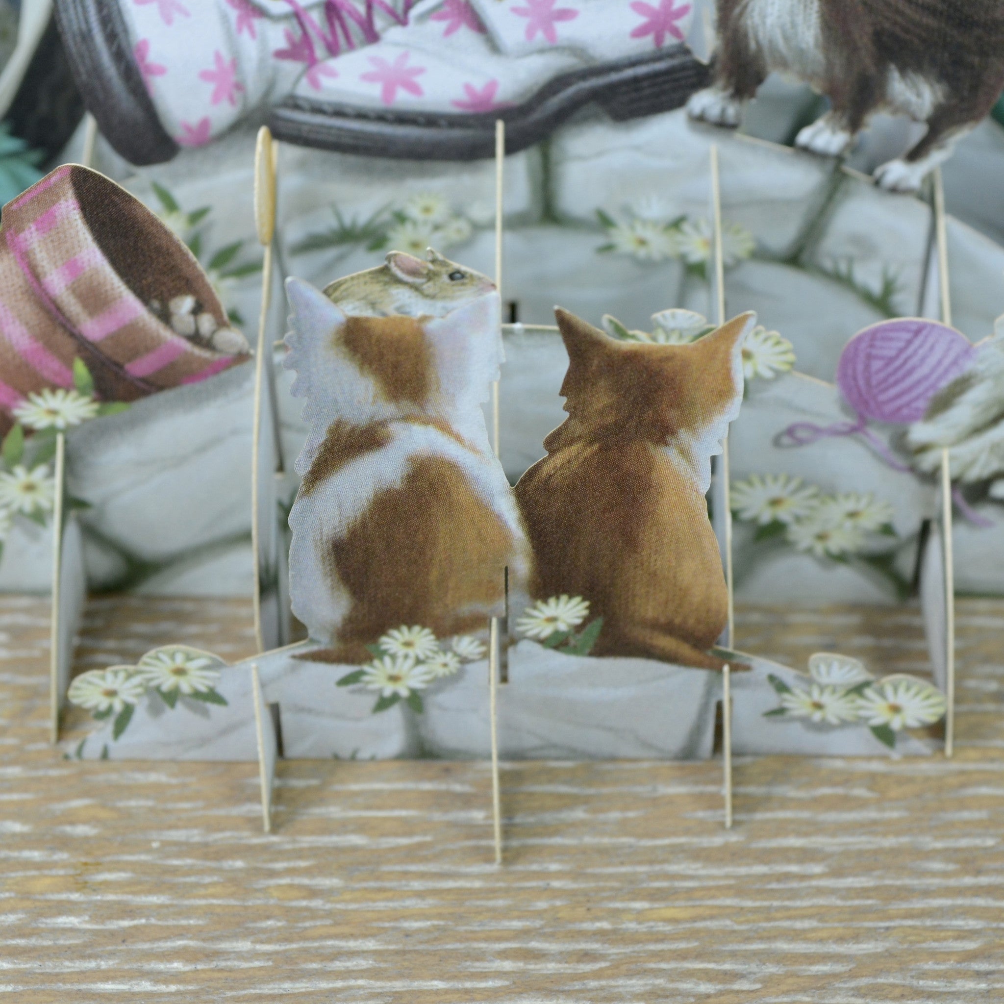 &quot;Kittens&quot; - Top of the World Birthday Pop Up Greetings Card