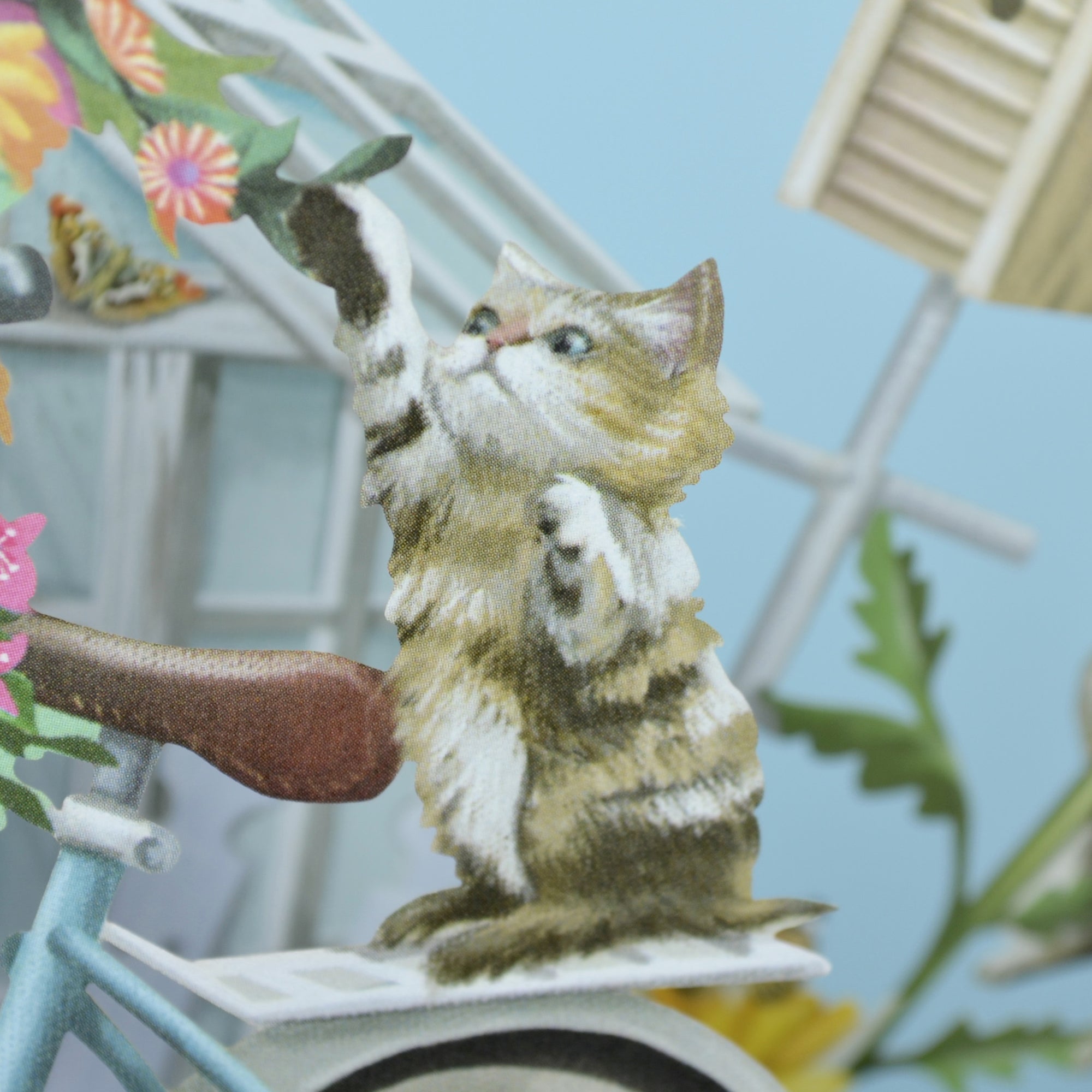 &quot;Kittens&quot; - Top of the World Birthday Pop Up Greetings Card