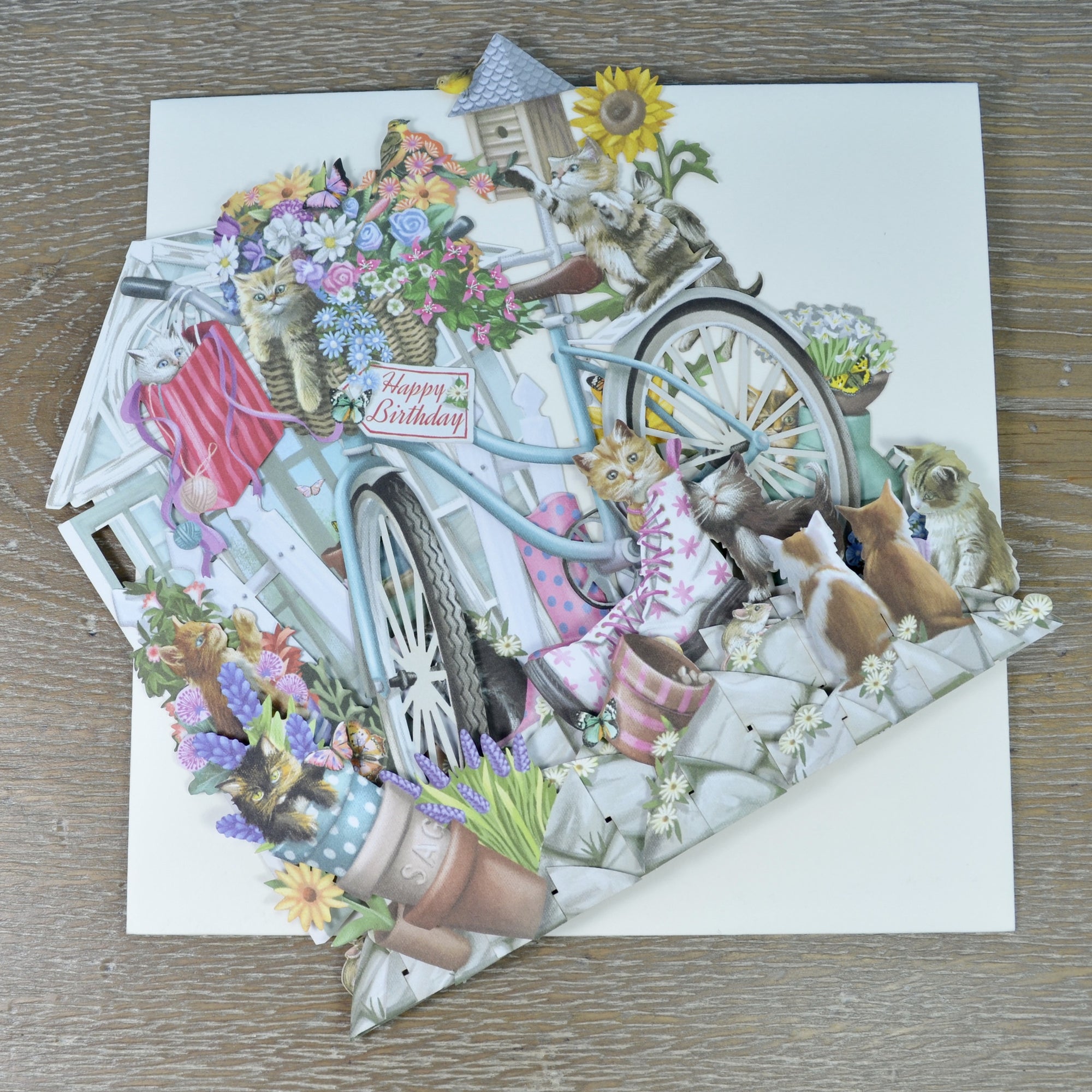 &quot;Kittens&quot; - Top of the World Birthday Pop Up Greetings Card