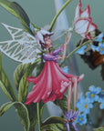 Fairy trumpeter