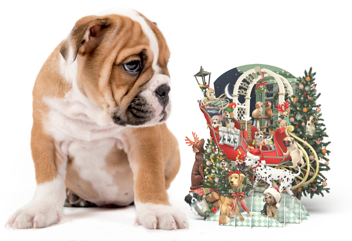 Doggie 3D Pop Up Christmas Cards